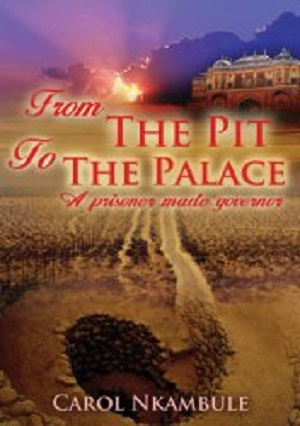 From-the-Pit-to-the-Palace
